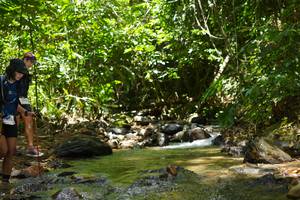 BIB: 
                            <button type="button" onclick="openModal(21843565)" class="btn btn-primary btn-sm float-right btn-popup" data-toggle="modal" data-target=".modal-high-quality">
                        <i class="fas fa-shopping-cart"></i> Add to Cart
                    </button>
                                            <button type="button" onclick="isThisMe(21843565, true)" class="btn btn-success btn-sm float-right btn-popup btn-isme hidden" data-toggle="tooltip" data-placement="bottom" title="นี่คือรูปของคุณใช่ไหม คลิกที่นี่เพื่อเอาเข้าอัลบั้ม">
                        <i class="fas fa-plus"></i> Add to album
                    </button>
                    <button type="button" onclick="isThisMe(21843565, false)" class="btn btn-warning btn-sm float-right btn-popup btn-isnotme hidden">
                        <i class="fas fa-ban"></i> Remove from album
                    </button>